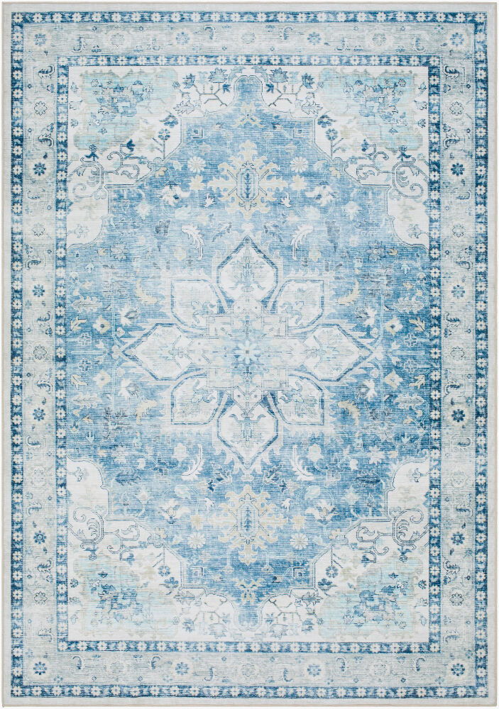 Lavable Machine Woven Rug