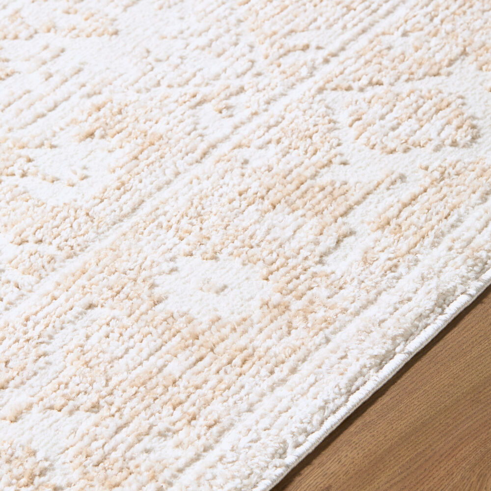 Odeon Machine Woven Rug