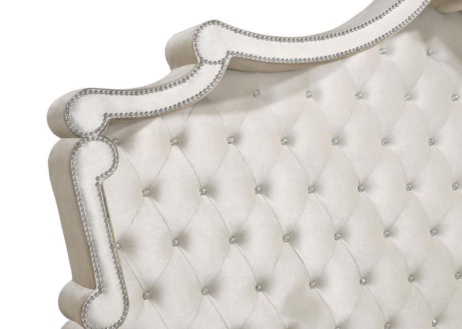 Coaster Fine Furniture Antonella - Upholstered Panel Bed | Meri Furniture