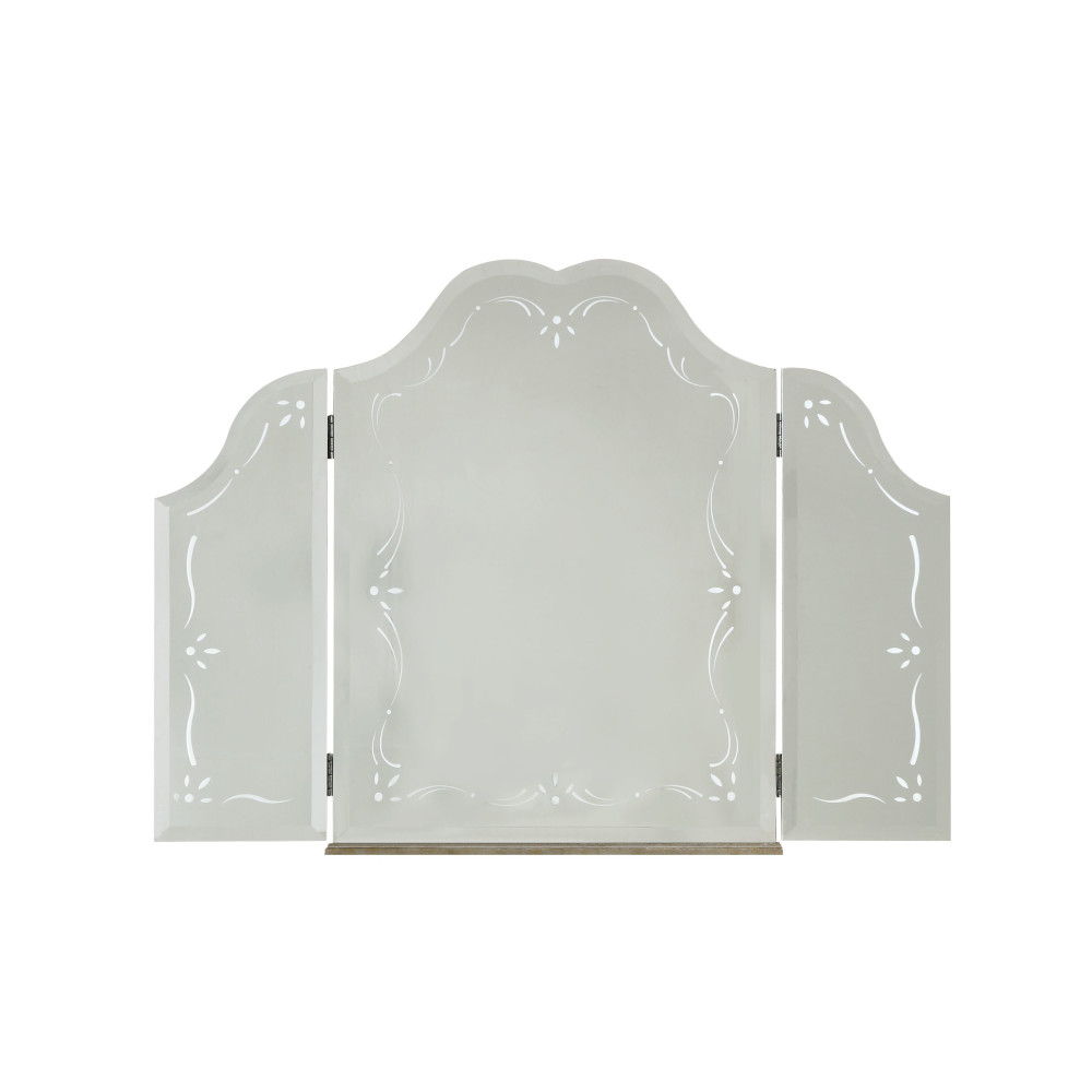 ACME Esteban - Vanity Mirror - Mirrored | Meri Furniture