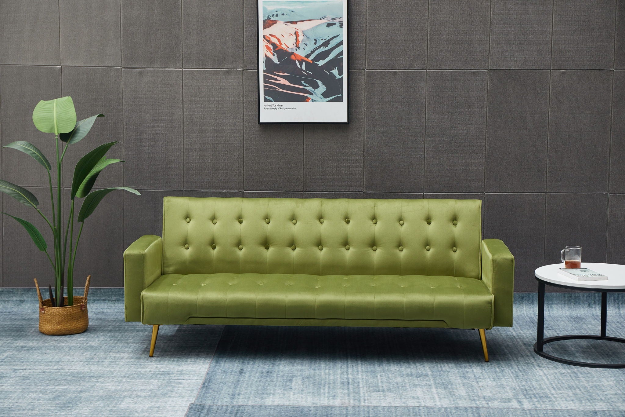 Comfort Compact Design Sofa Bed