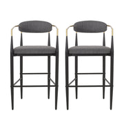 Counter Height Upholstered Barstools (Set of 2)