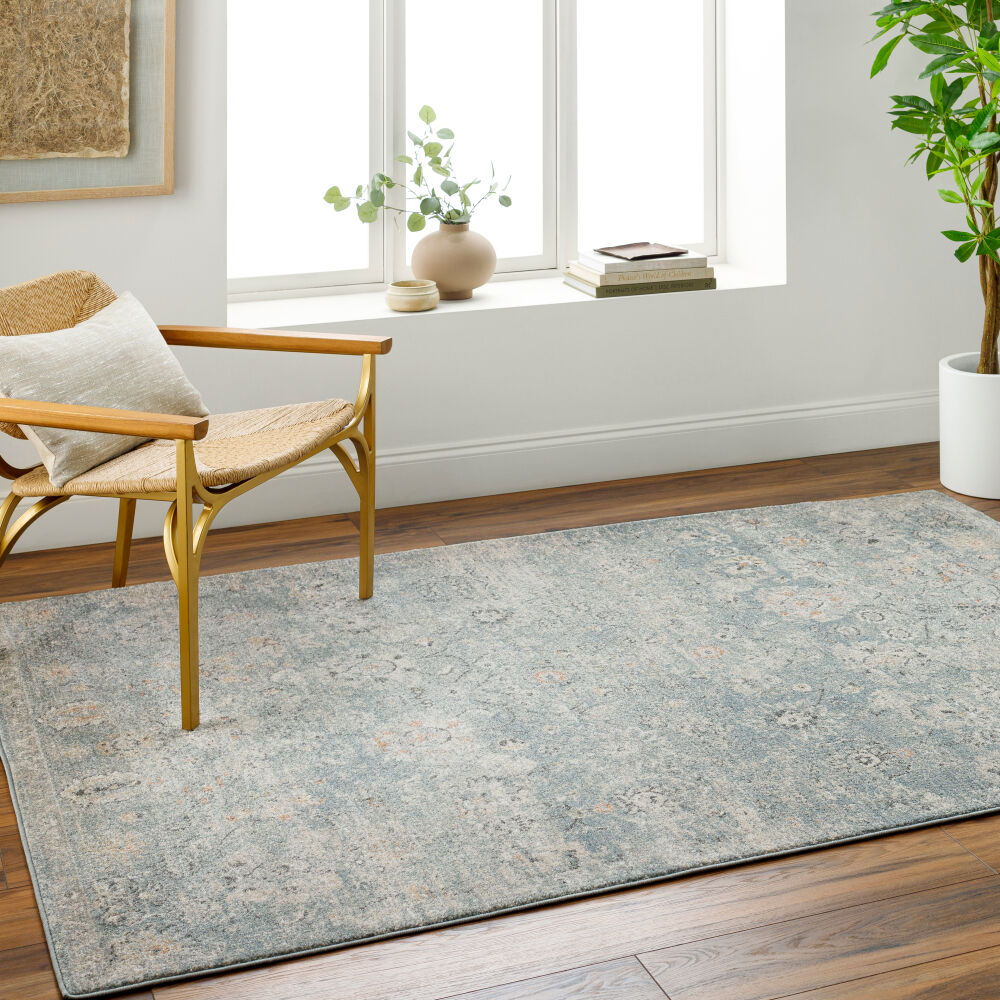 Alpharetta Machine Woven Rug