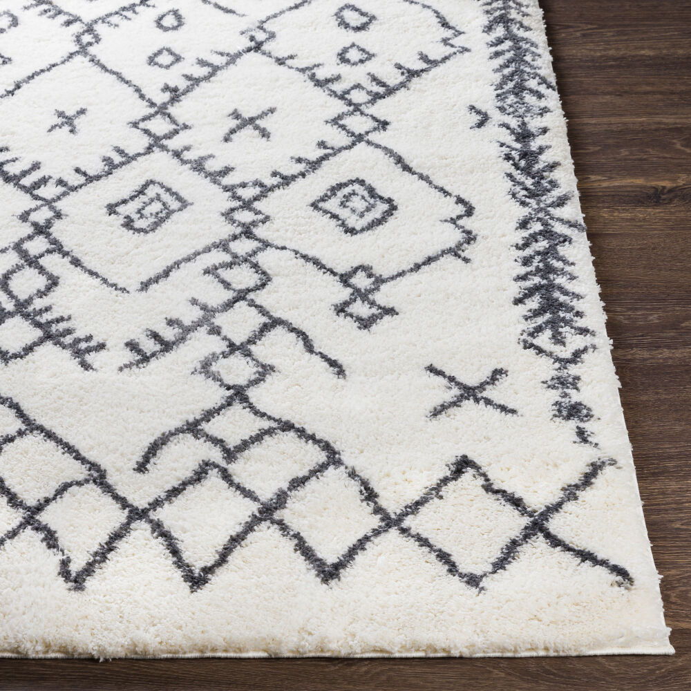 Aliyah Shag Machine Woven Rug