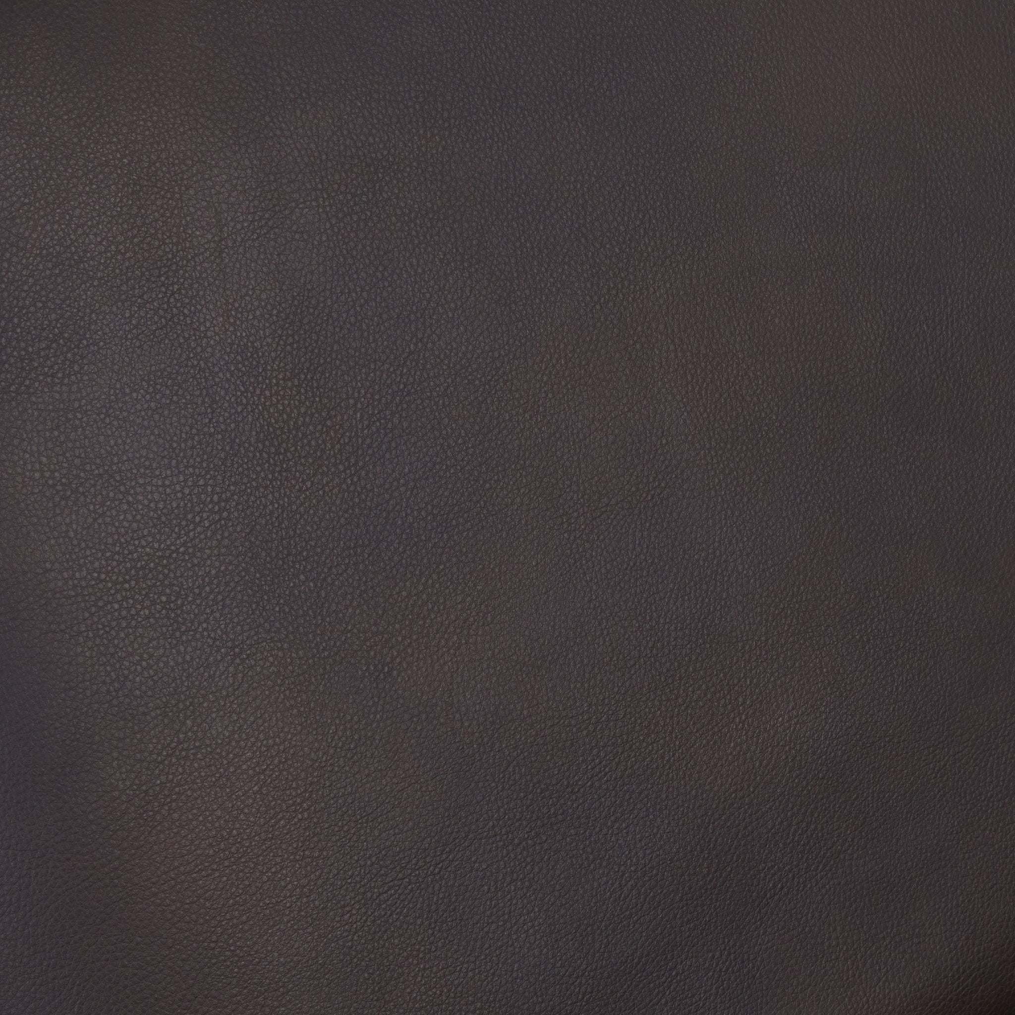 Sarasota - Arm Push Back Recliner