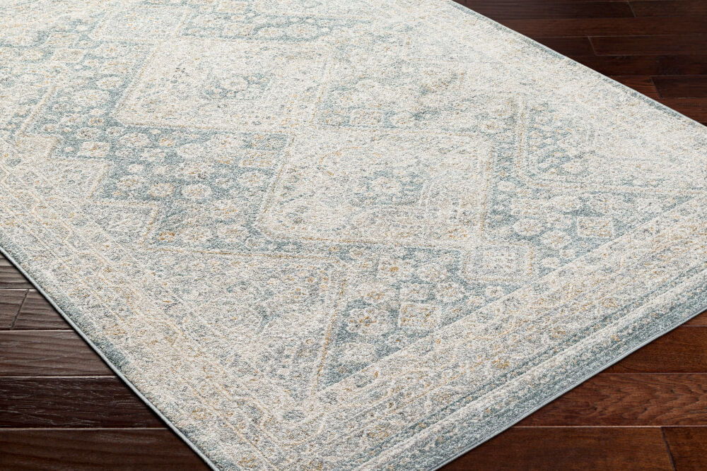 Alpharetta Machine Woven Rug