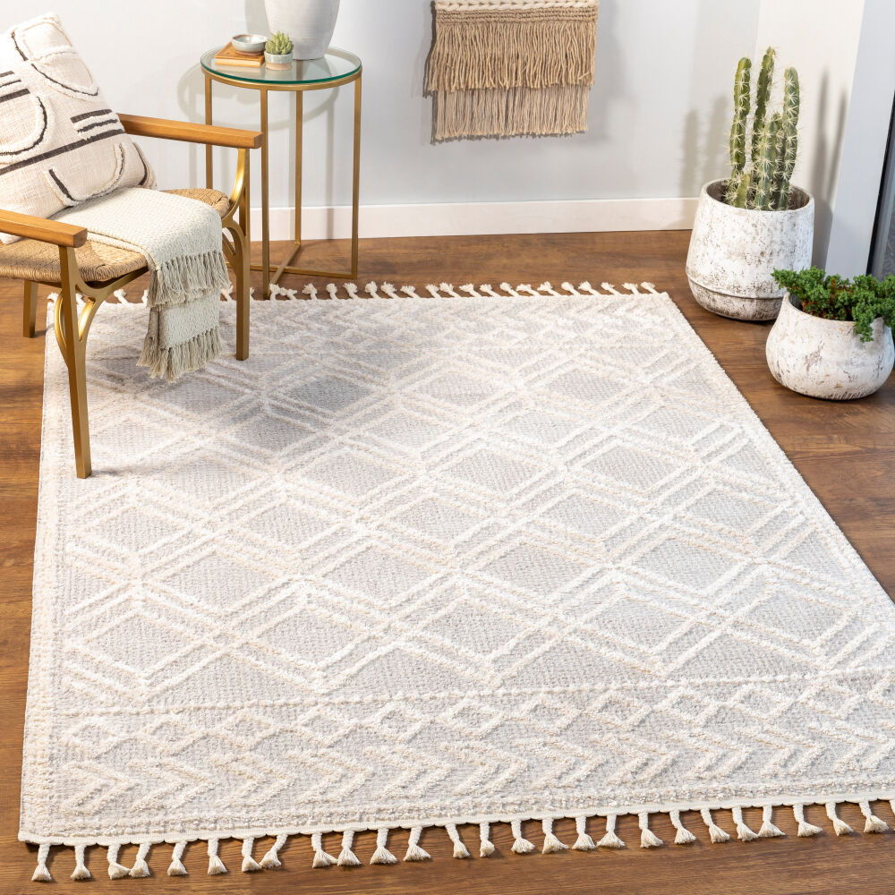 Valencia Machine Woven Rug