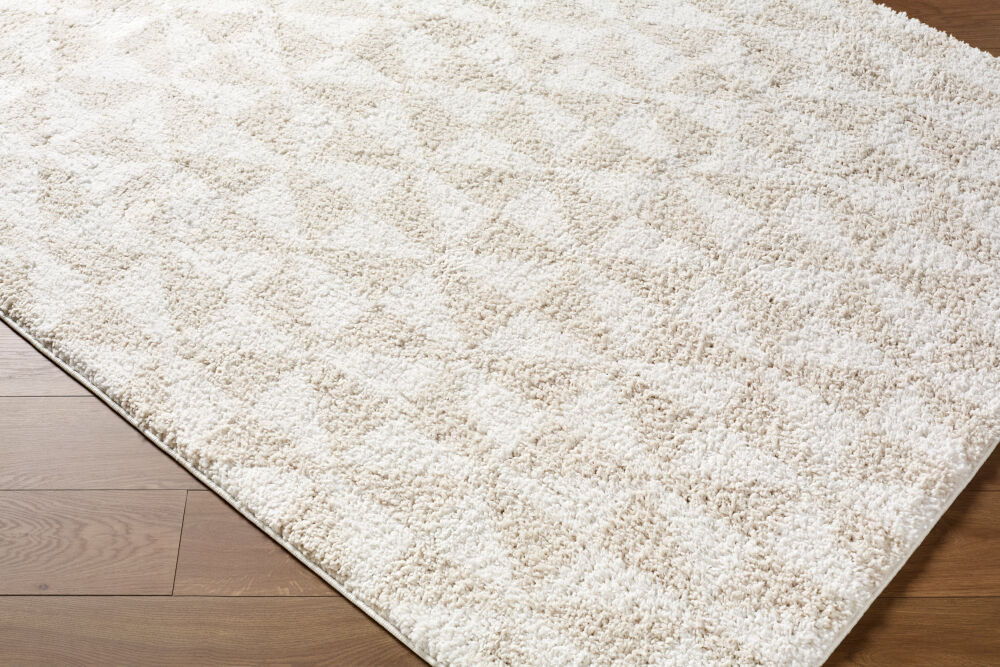 Sacramento Shag Machine Woven Rug