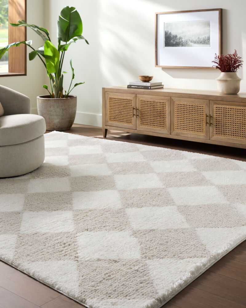 Cloudy Shag Machine Woven Rug