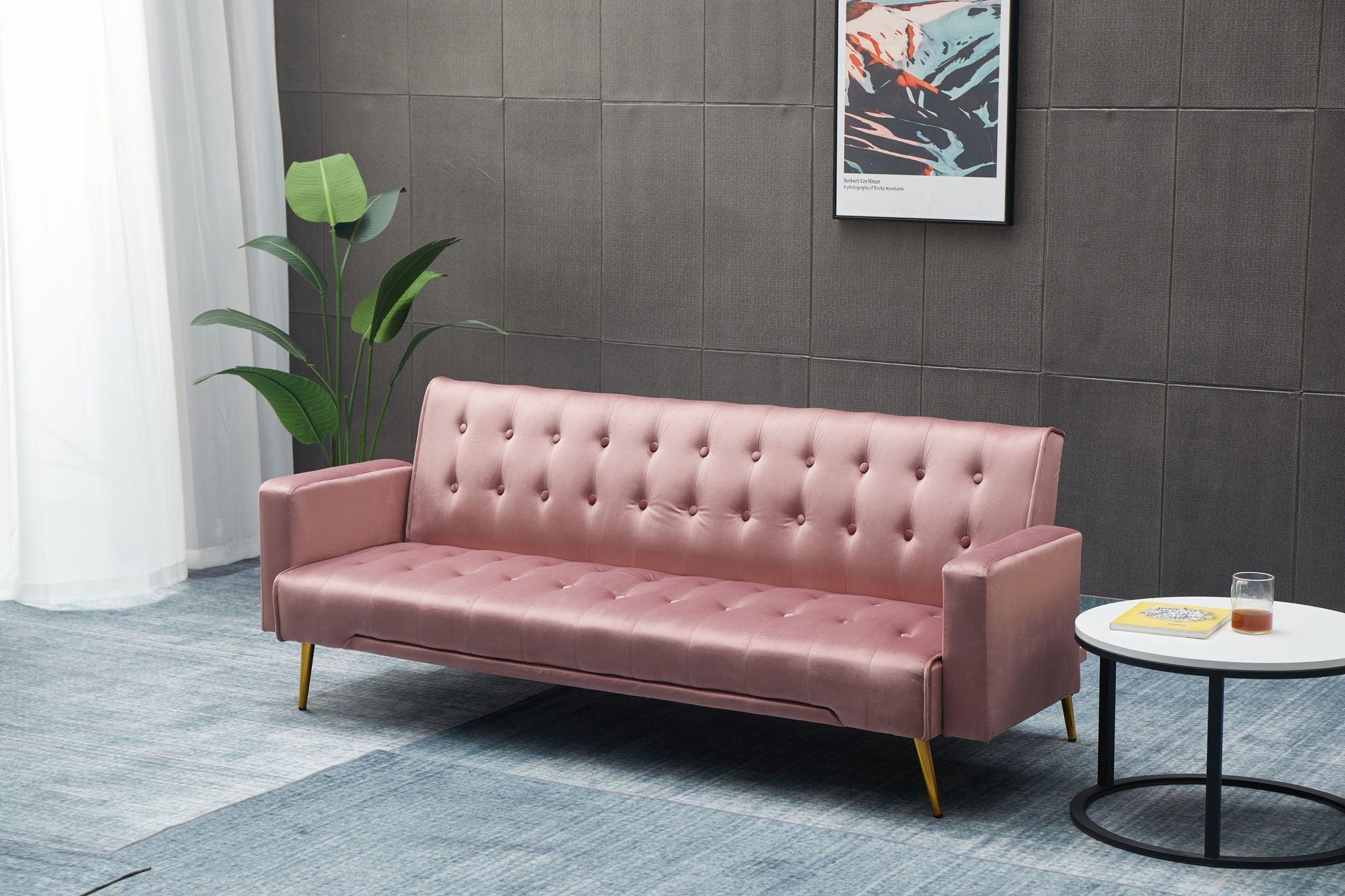 Comfort Compact Design Sofa Bed