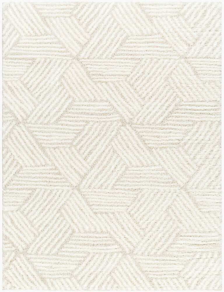 Cloudy Shag Machine Woven Rug