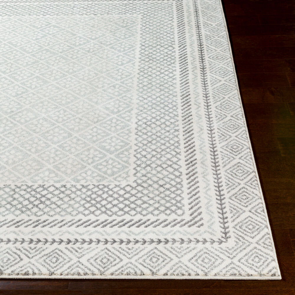 Harput Machine Woven Rug