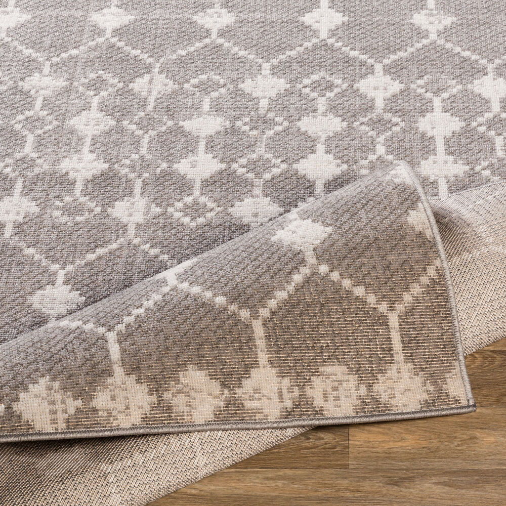 Rafetus Machine Woven Rug