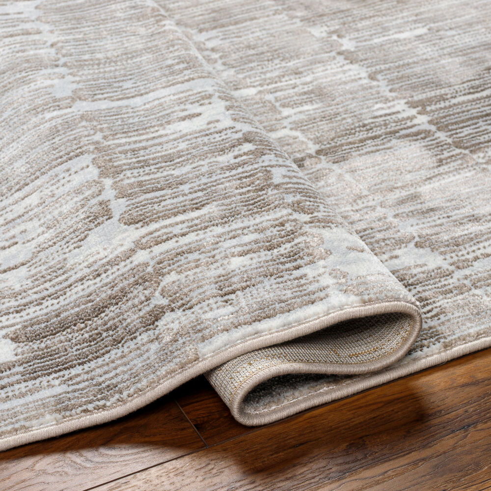 Avshar Machine Woven Rug