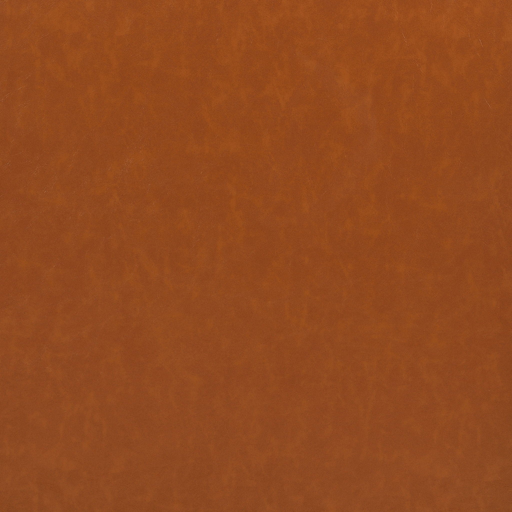 Mid - Century Accent Chair With Cushioned Seat, Brass Tipped Legs