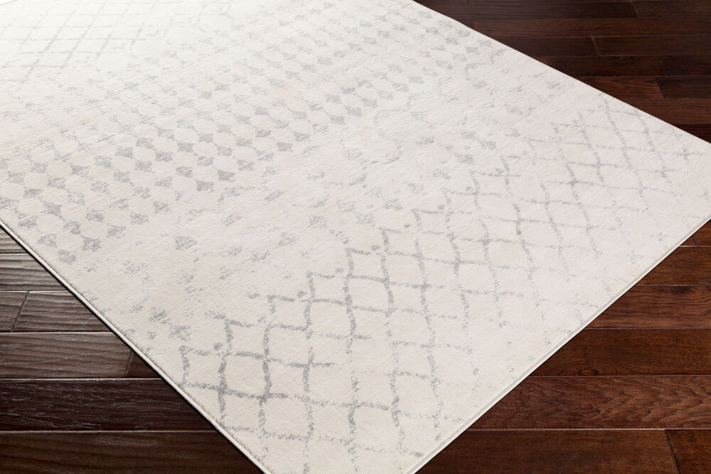 Roma Machine Woven Rug