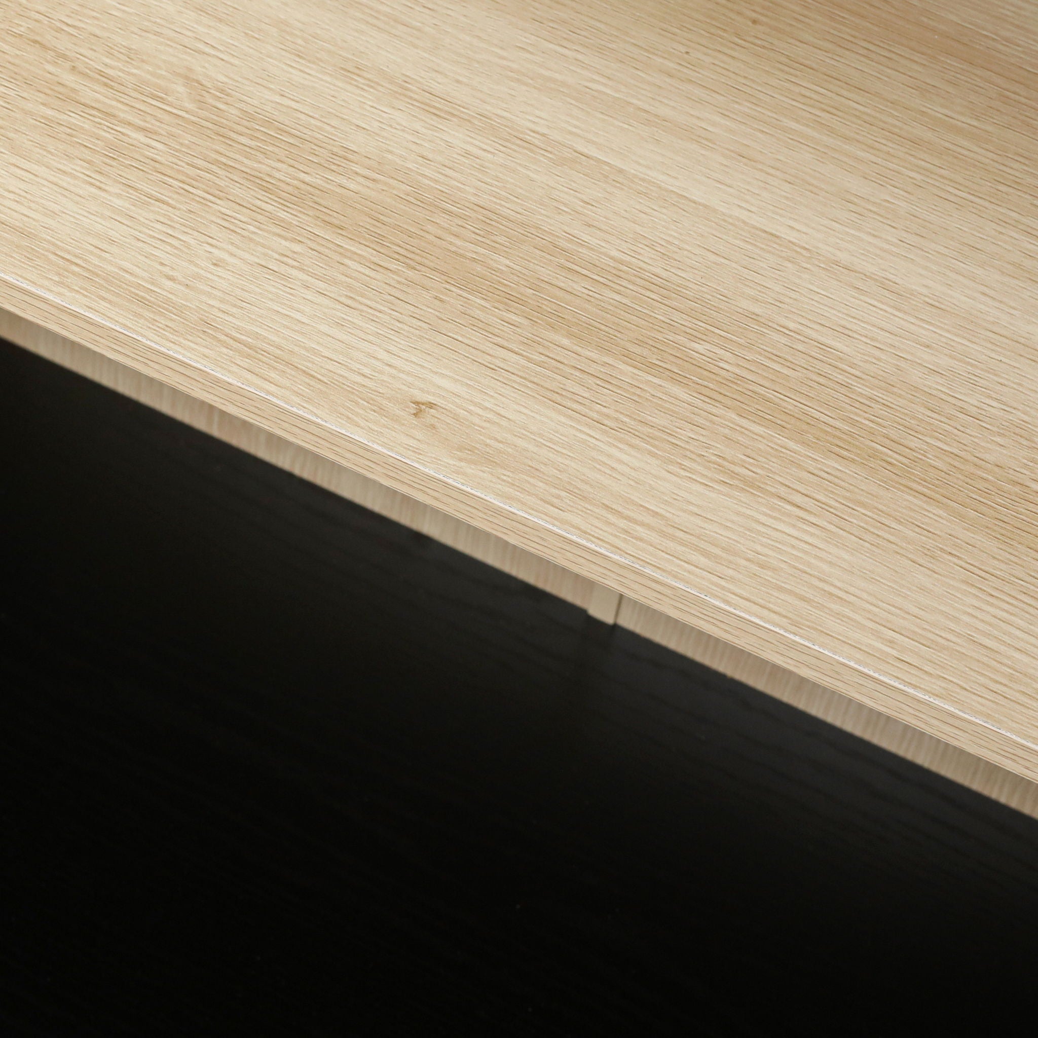 Storage Cabinet With Door For Living Room, Dining Room - Black