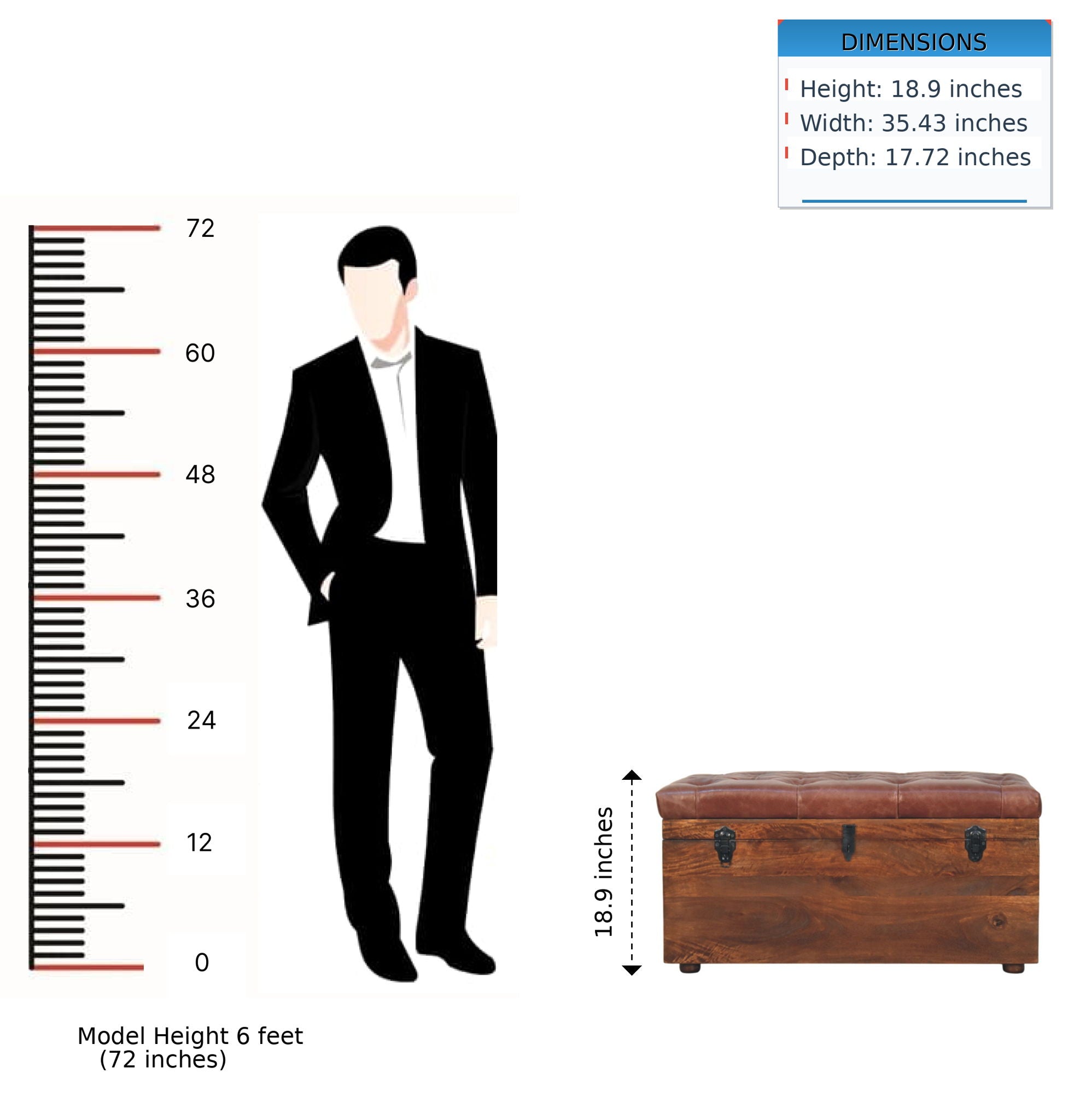 Buffalo - Storage Trunk