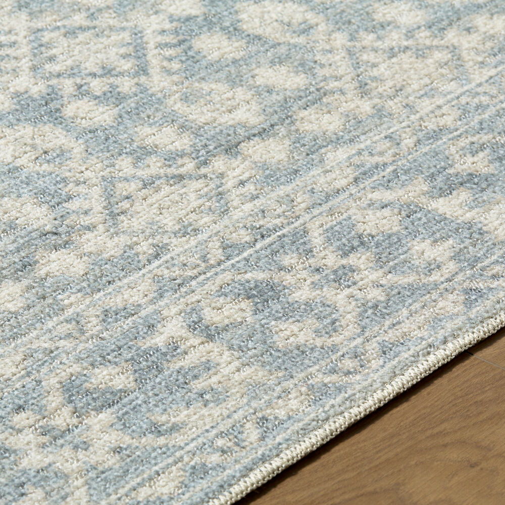 Aram Machine Woven Rug