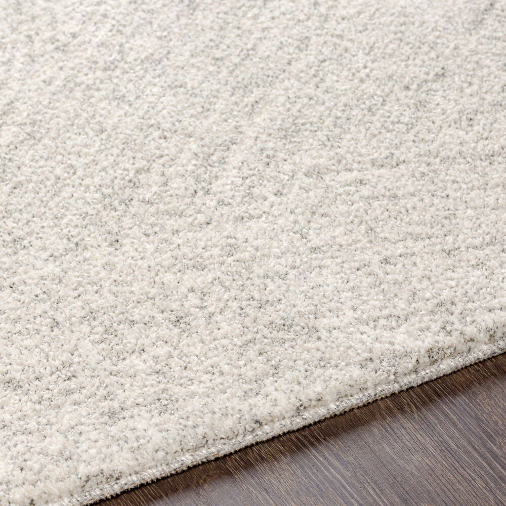 Gavic Machine Woven Rug
