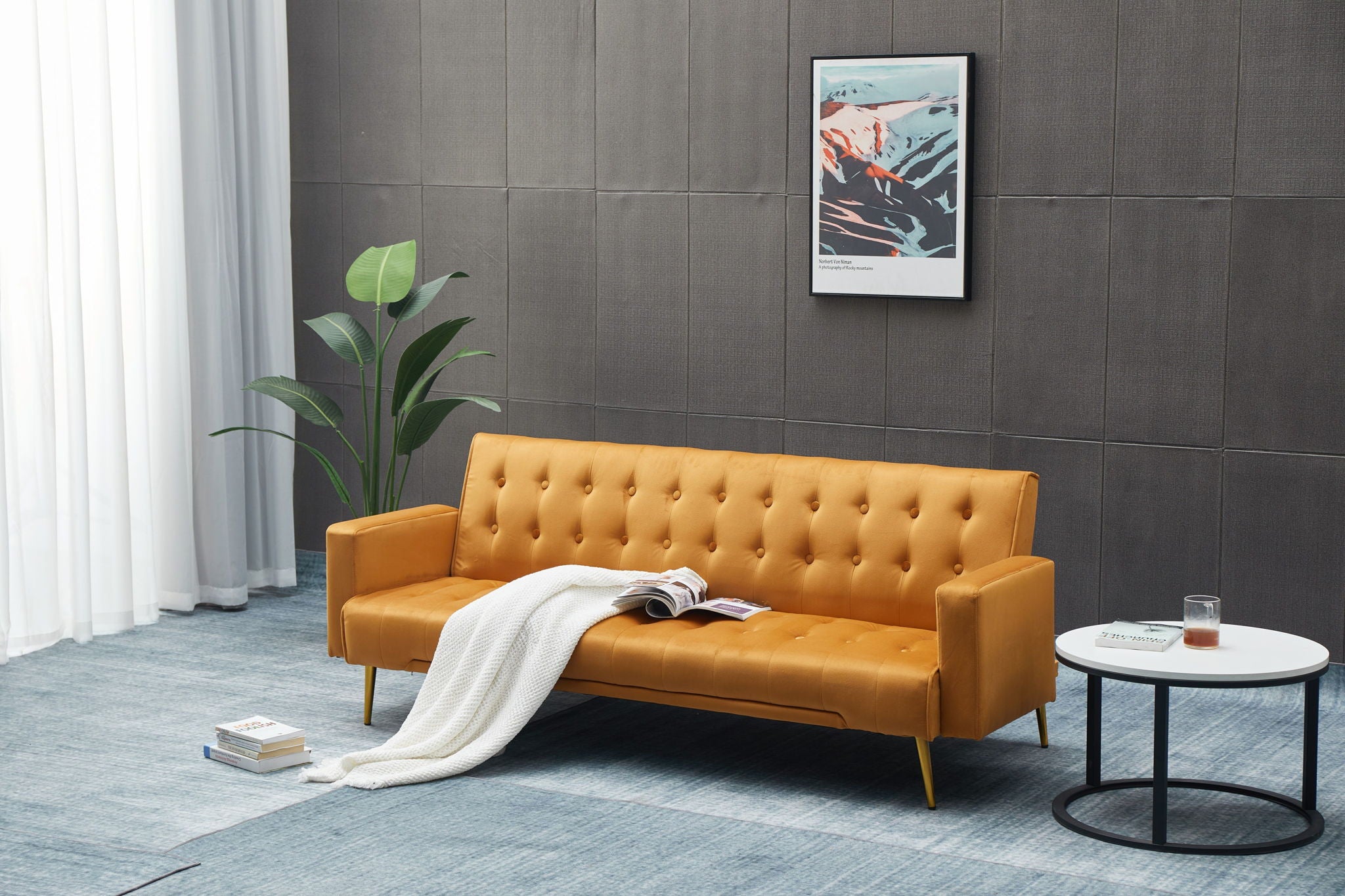 Comfort Compact Design Sofa Bed