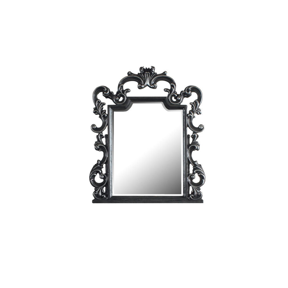 ACME House - Delphine - Mirror - Charcoal Finish | Meri Furniture