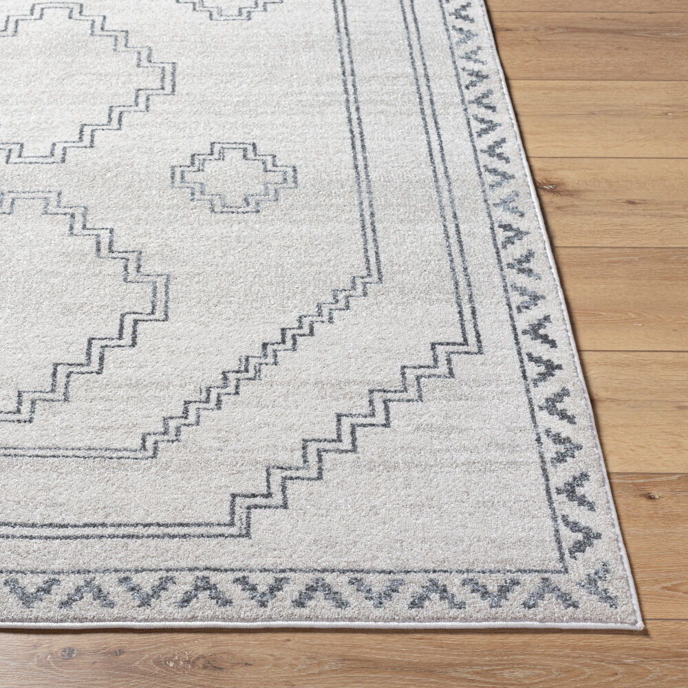 Alpharetta Machine Woven Rug