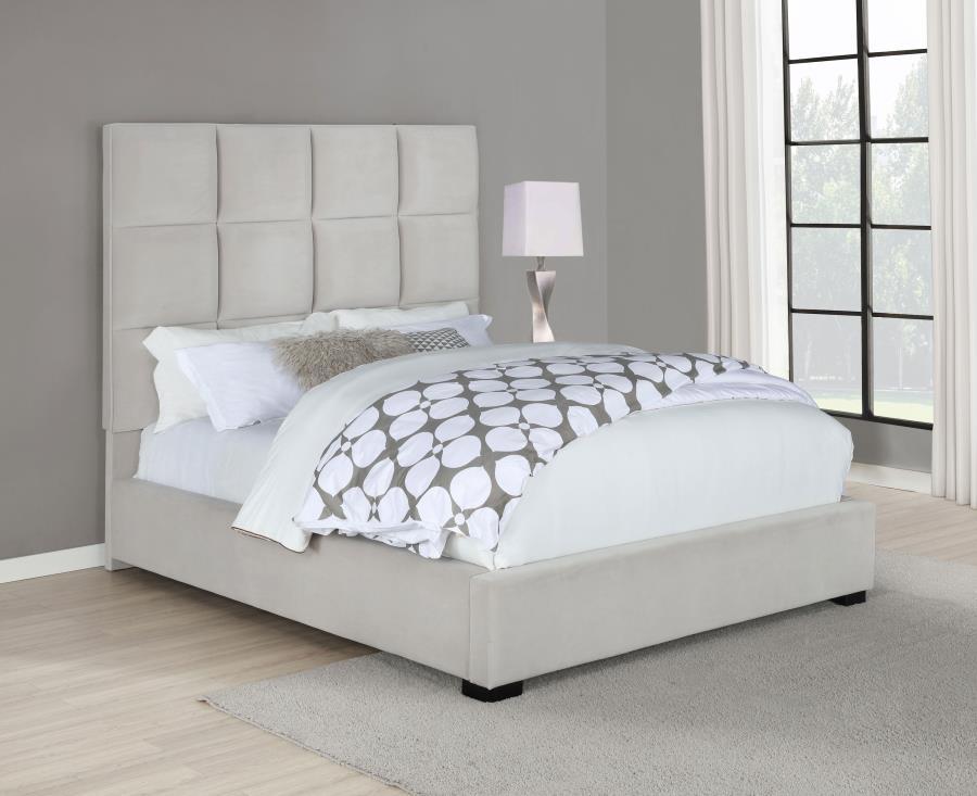 Coaster Fine Furniture Panes - Upholstered Panel Bed | Meri Furniture
