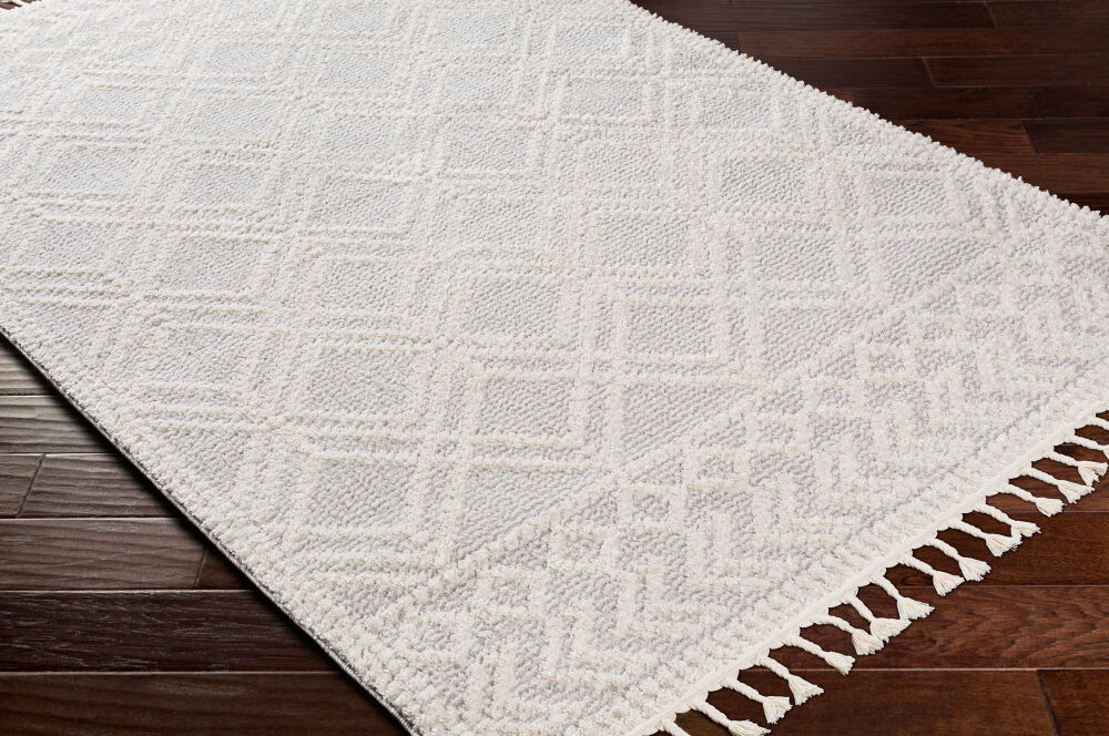 Valencia Machine Woven Rug