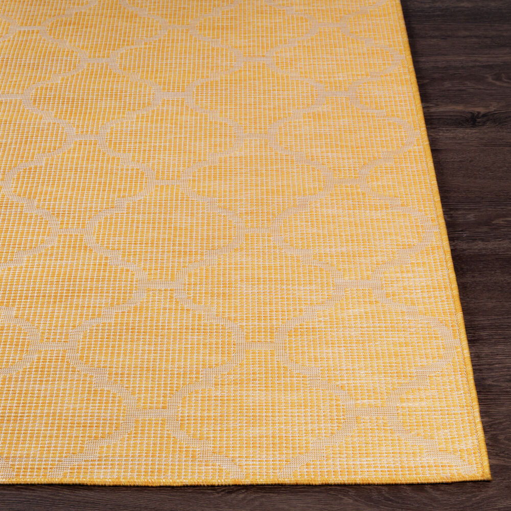 Pasadena Machine Woven Rug