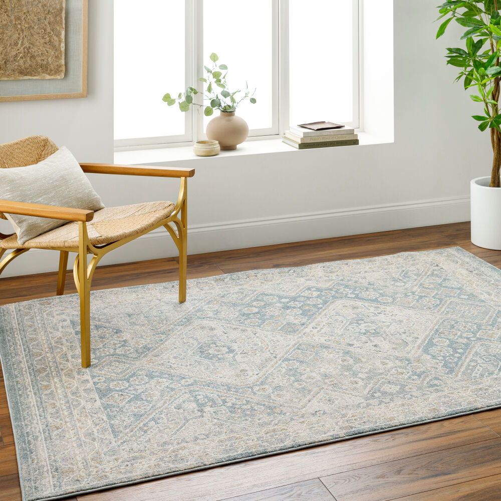 Alpharetta Machine Woven Rug