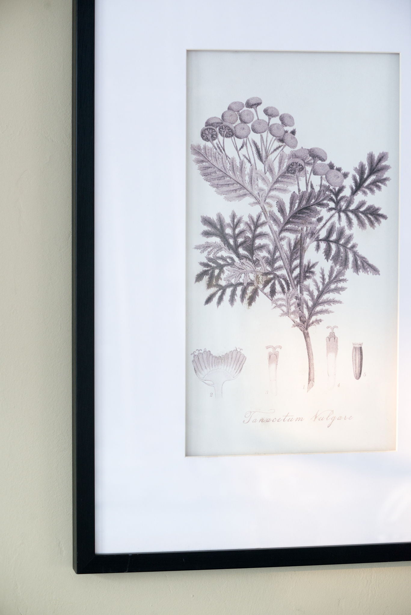 Botanical Wall Art Prints, Home Decor For Living Room Dining Room, Bedroom, Hallway (Set of 4) - White / Black