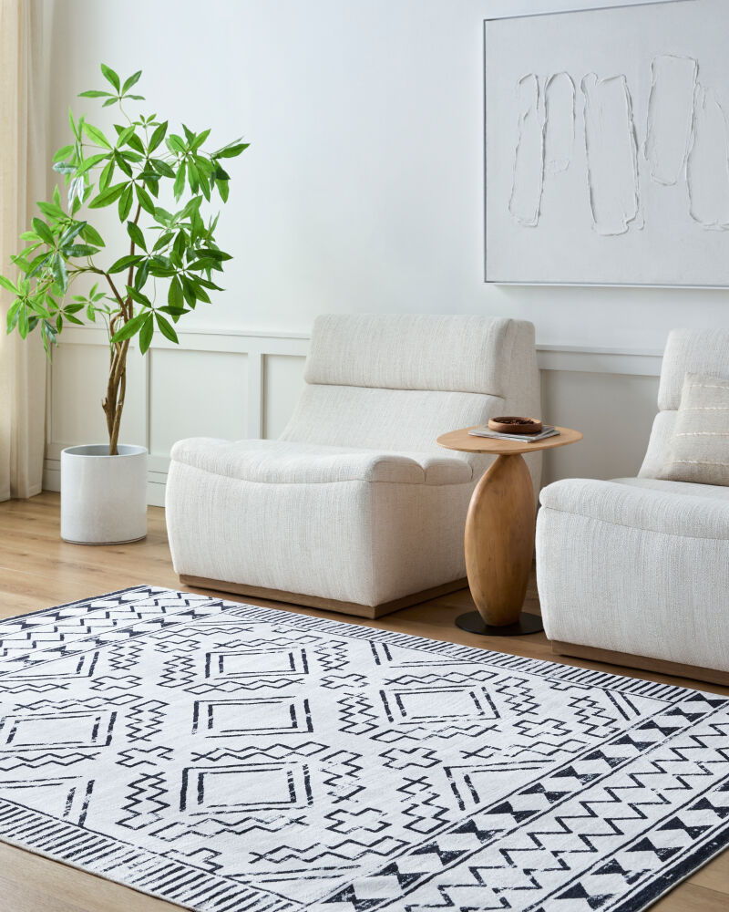 Lavable Machine Woven Rug