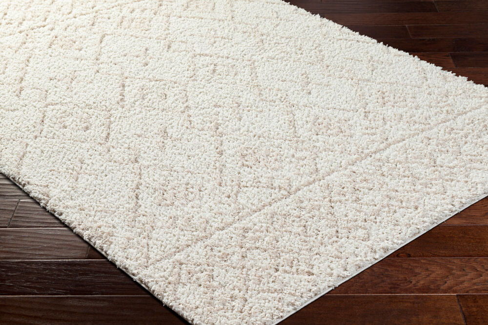 Maryland Shag Machine Woven Rug