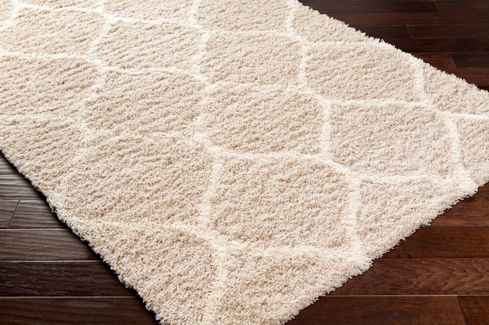 Urban Shag Machine Woven Rug