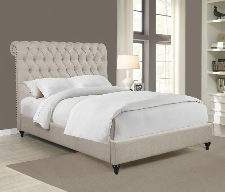 Coaster Fine Furniture Devon - Upholstered Panel Bed | Meri Furniture