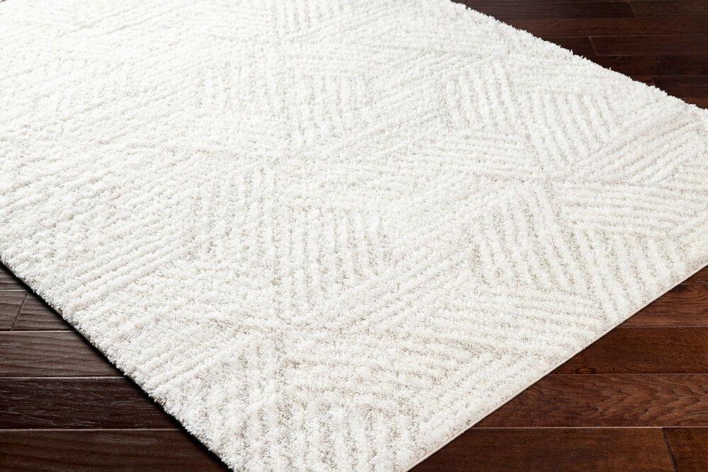Cloudy Shag Machine Woven Rug