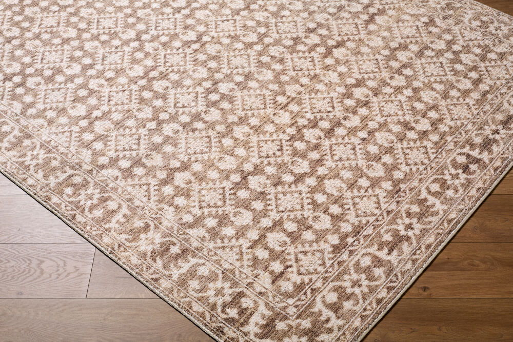 Aram Machine Woven Rug