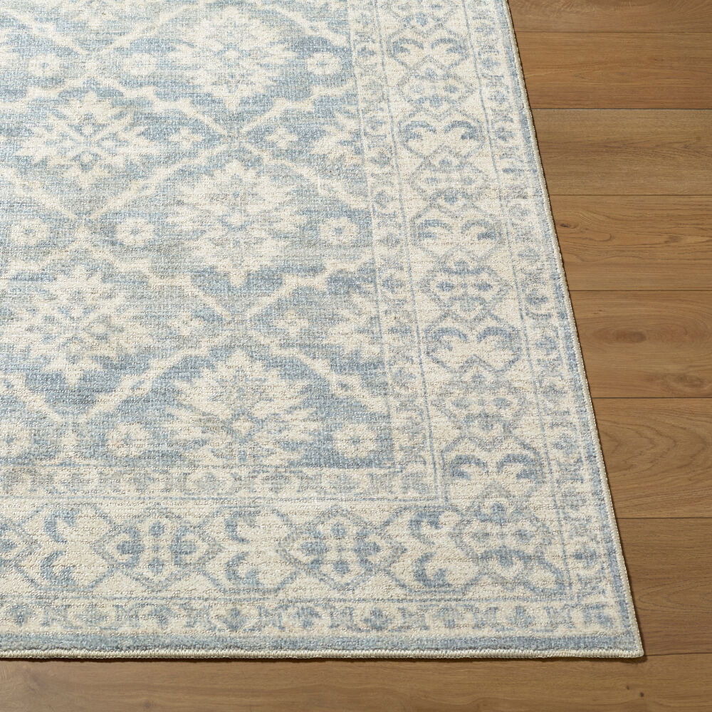 Aram Machine Woven Rug