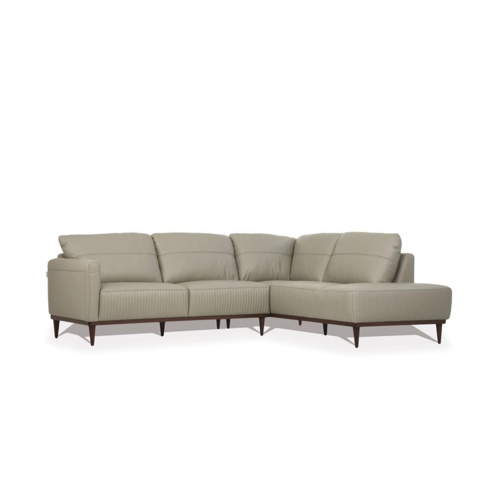 ACME Tampa - Sectional Sofa | Meri Furniture