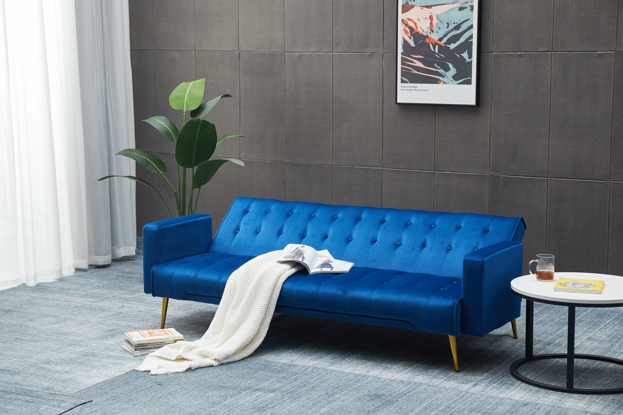 Comfort Compact Design Sofa Bed