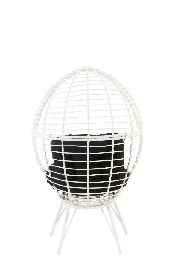 ACME Galzed - Patio Lounge Chair - Black Fabric & White Wicker | Meri Furniture