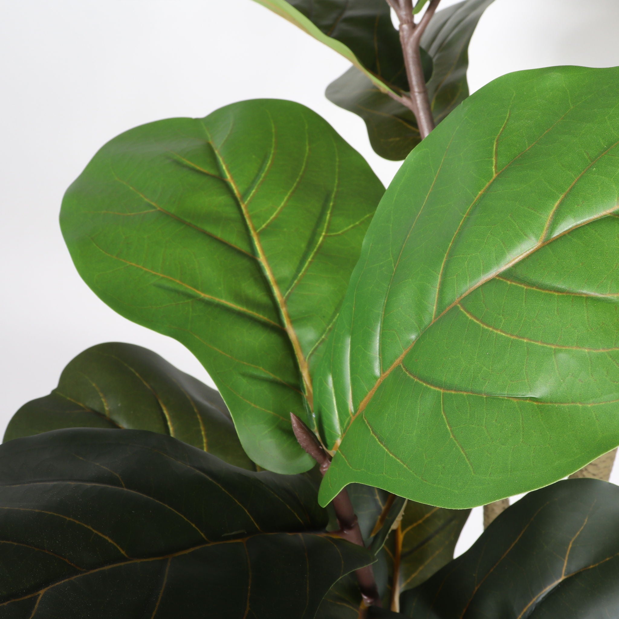 6Ft Real Touch Fake Fiddle Leaf Fig Tree In Pot, Indoor Decor For Home - Green Leaves
