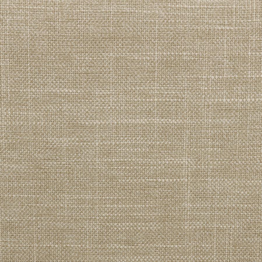 Coaster Fine Furniture Chloe - Upholstered Panel Bed | Meri Furniture