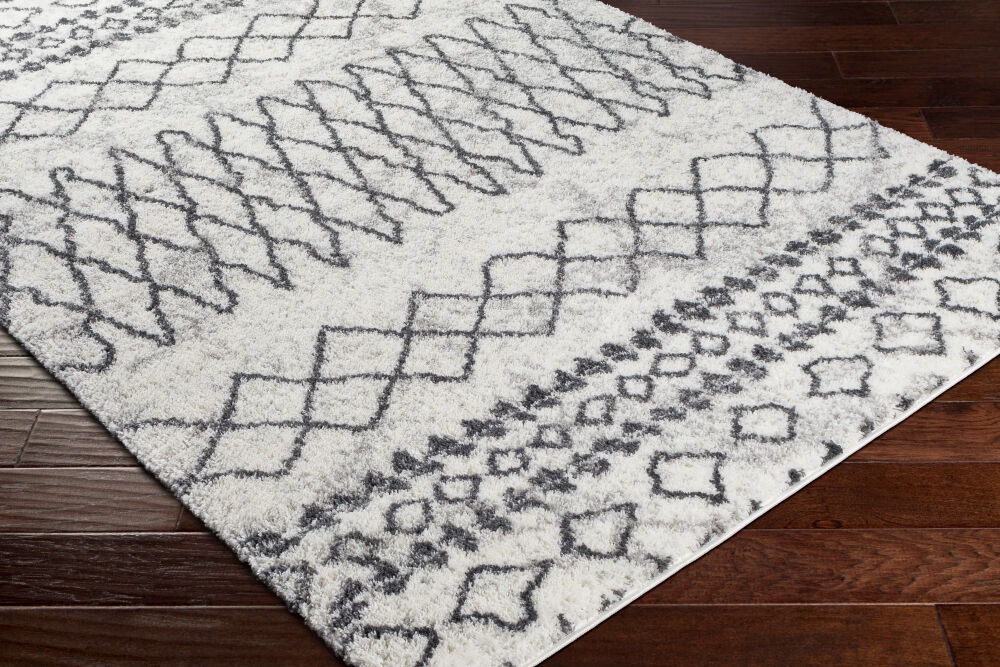 Aliyah Shag Machine Woven Rug