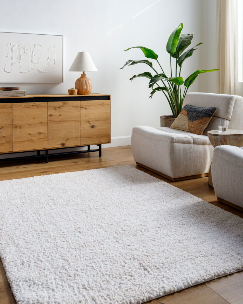 Sacramento Shag Machine Woven Rug
