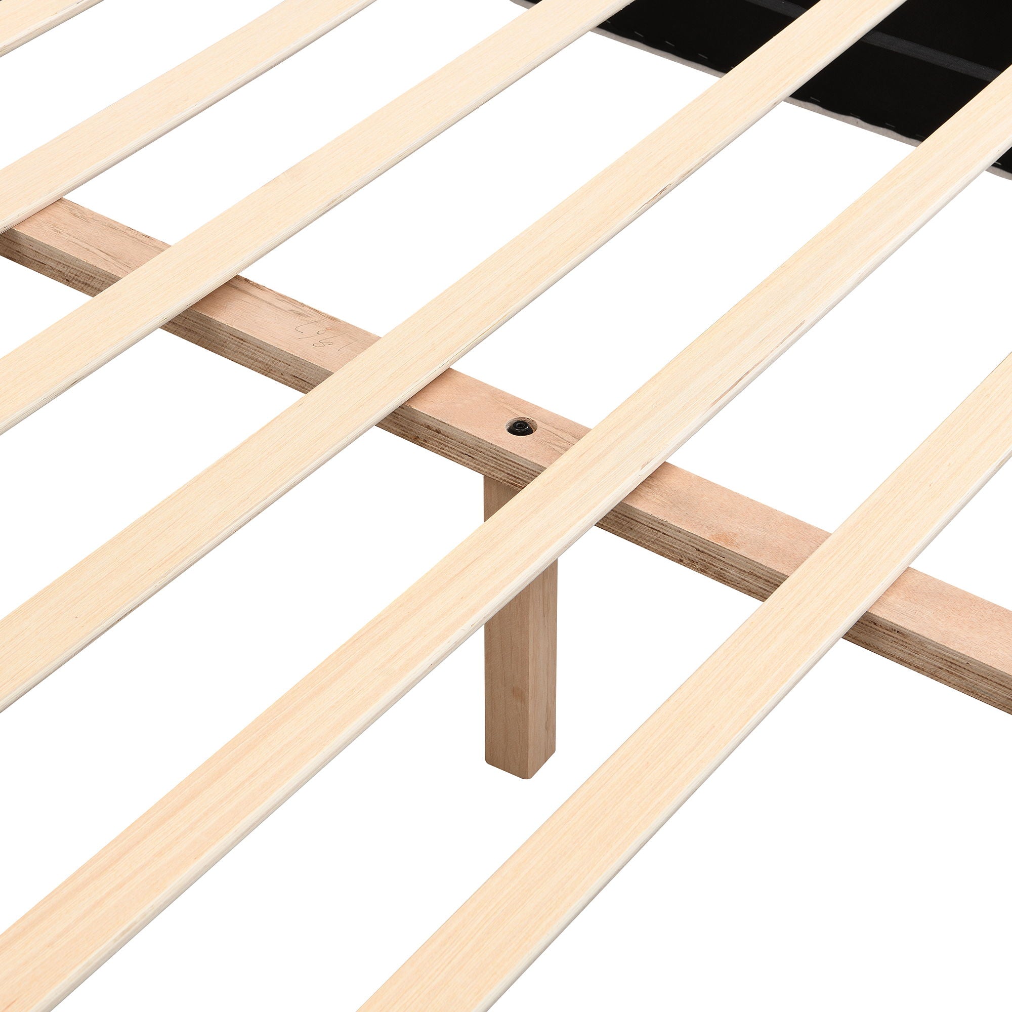 Queen Size Elegant Terry Upholstered Bed - White