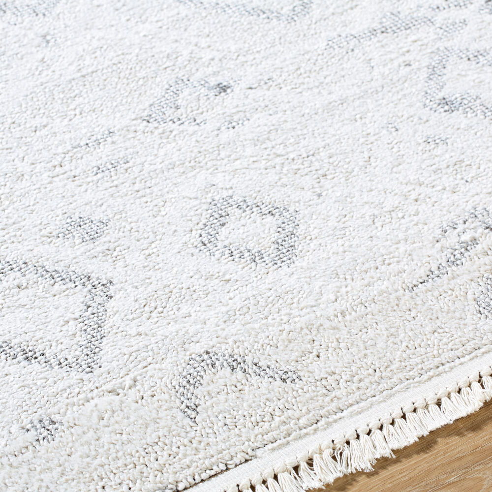 Berlin Machine Woven Rug