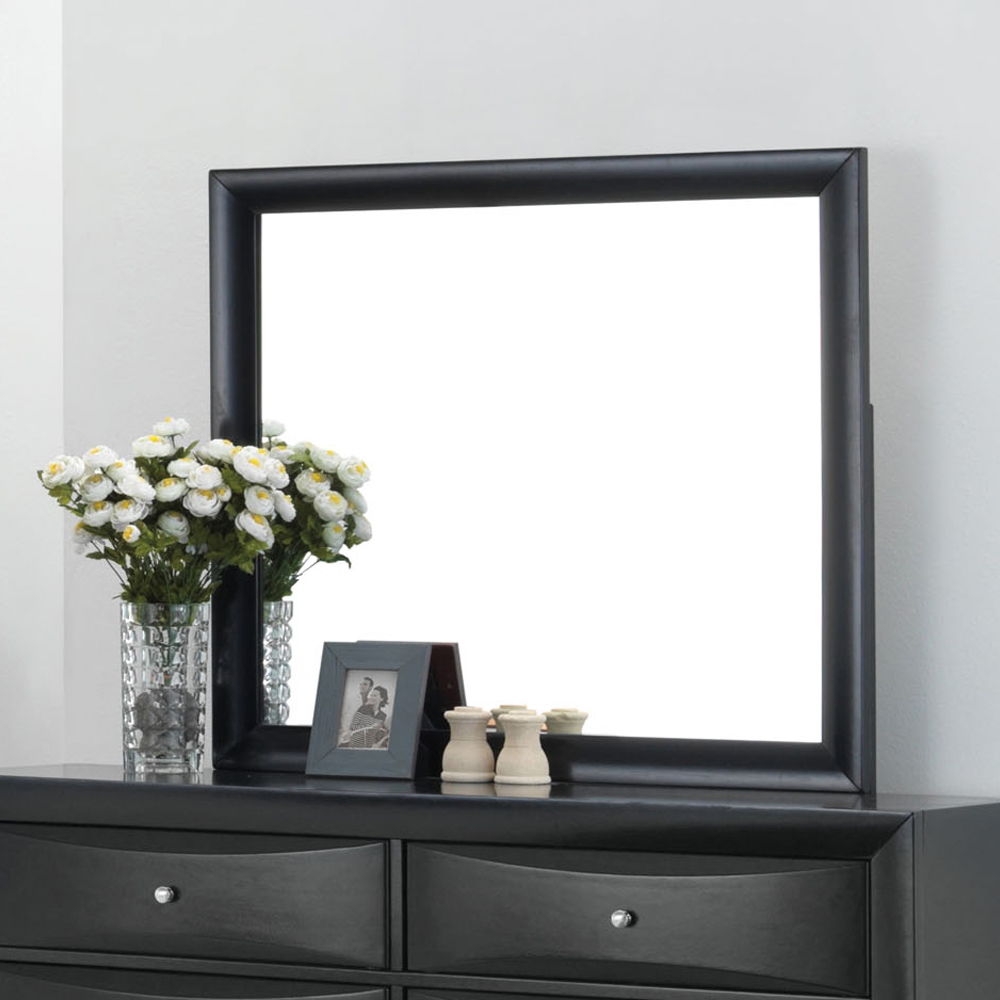ACME The Ireland contemporary mirror is the perfect accent for your master bedroom. The Ireland collection features contemporary feel and the mirror helps to make small areas appear larger and more brightly lit. | Meri Furniture