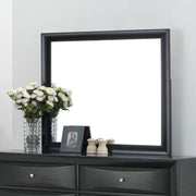 ACME The Ireland contemporary mirror is the perfect accent for your master bedroom. The Ireland collection features contemporary feel and the mirror helps to make small areas appear larger and more brightly lit. | Meri Furniture
